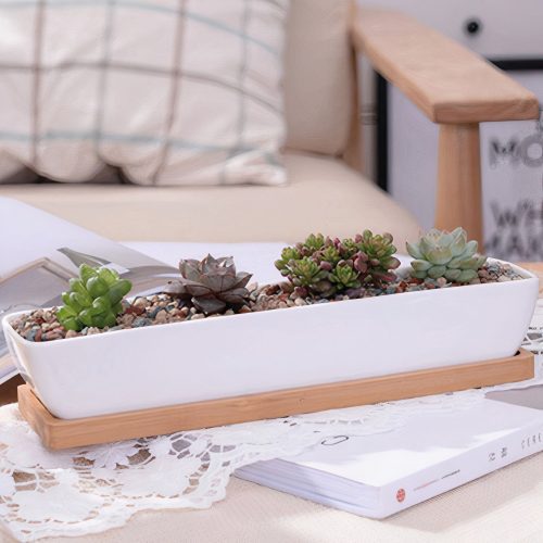 ClaudiaG Succulent Planter-Long