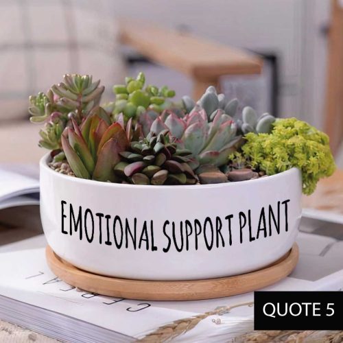 Message in a Planter - 6" Round