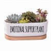 Message in a Planter - 7" Oval