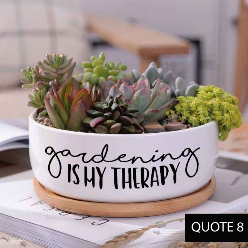 Message in a Planter - 6" Round