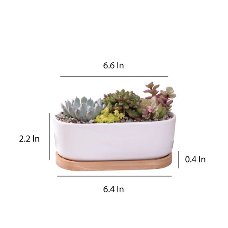 claudiag home home decor message in a planter 7 oval message in a planter 7 oval 41997295780098